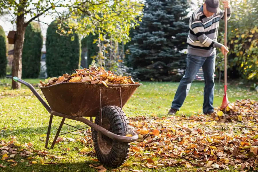 Spring and Fall Cleanup